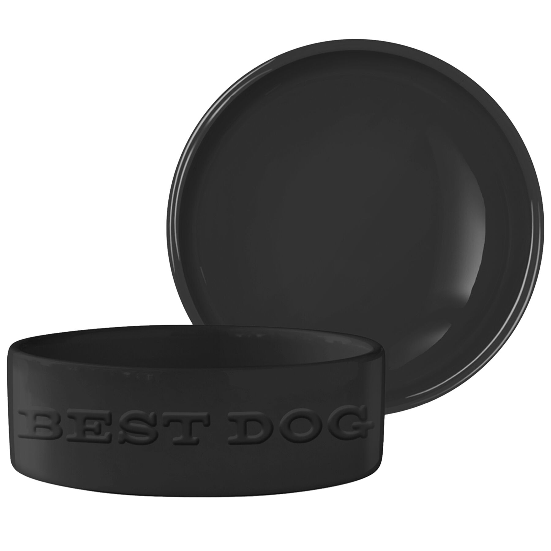 black dog bowl